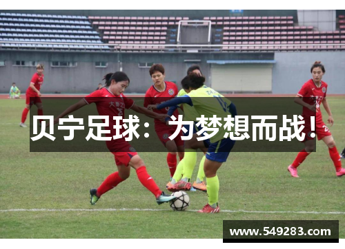 贝宁足球：为梦想而战！